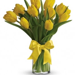 Yellow tulips in a clear glass vase with a yellow ribbon