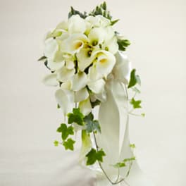 White calla lily bouquet with trailing ivy and ribbon