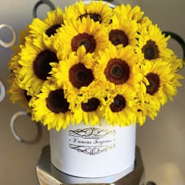 Hat box arrangement of bright yellow sunflowers with dark centers in a white cylinder container