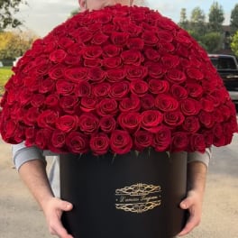 Large dome arrangement of red roses in a black hat box held by a person