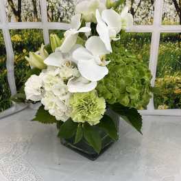 White orchids and green hydrangeas in a square glass vase