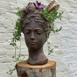 Succulent crown on a bronze bust sculpture