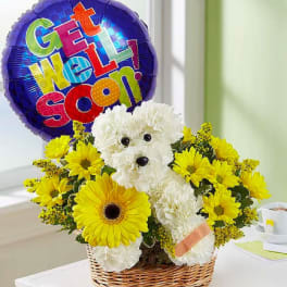 White teddy bear in a basket with yellow flowers and a "Get Well Soon" balloon