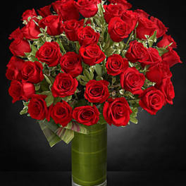 Fate Luxury Rose Bouquet - 48 Stems of 24-inch Premium Long-Stemmed Roses - VASE INCLUDED