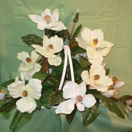 White magnolia-like flowers arranged with glossy green leaves on a green backdrop.