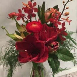 Tall arrangement of red amaryllis and mixed red-orange blooms in a clear glass vase