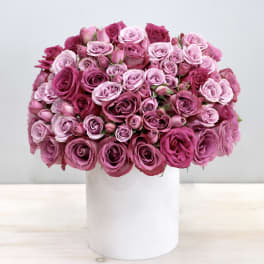 Dome-shaped arrangement of pink roses in a white cylinder vase