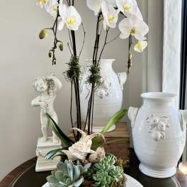 White orchids and succulents arranged in a wooden box with shells