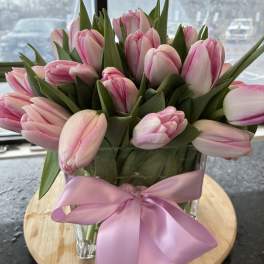 Dutch Pink Tulips