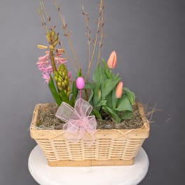 Spring Bulb Basket