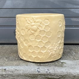 Beige ceramic planter with embossed bees and honeycomb pattern