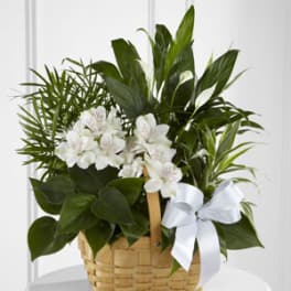 White flowers arranged in a wicker basket with a white ribbon