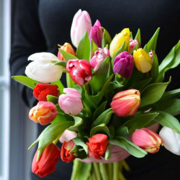 Hand-tied bouquet of mixed-color tulips held against a dark top