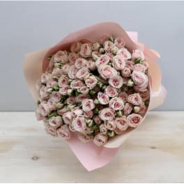 Light Pink Spray Rose Bouquet - WeHo