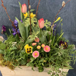 Spring planter with pink tulips, yellow daffodils and mixed blooms in a wooden box