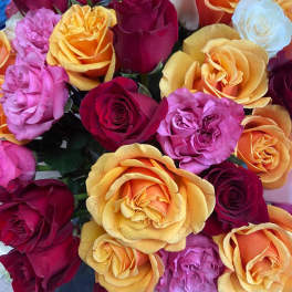 Bouquet of multicolored roses in pink, red, orange, and white