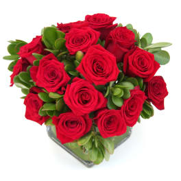 Red roses arranged in a low square vase with green succulent foliage