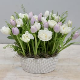 Low arrangement of white and pale lavender tulips in a textured white ceramic bowl