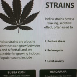 Poster about indica strains with a cannabis leaf graphic and text