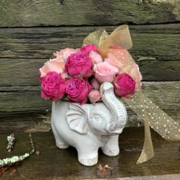 Pink roses arranged in a white elephant planter with a gold ribbon