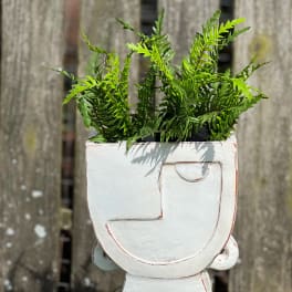 Green fern plant in a white decorative planter