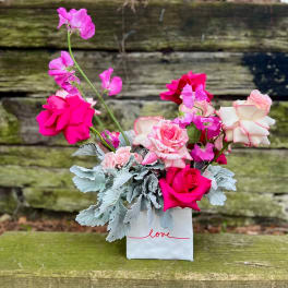 Pink and white roses in a white gift bag with silver foliage