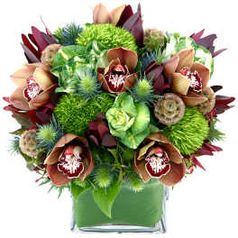 Mixed green and burgundy orchid arrangement in a square glass vase
