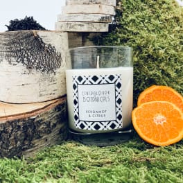 A bergamot and citrus candle beside birch logs and orange slices