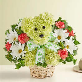 Green teddy bear flower arrangement in a basket with daisies and carnations