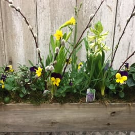 Rustic box of Spring Centerpiece