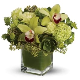 Low green orchid and rose arrangement with succulents in a square glass vase