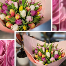 Bouquet of multicolored tulips wrapped in pink paper