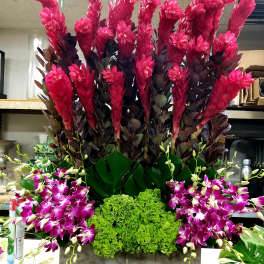Tall floral arrangement with bright pink blooms, purple orchids, and green hydrangeas in a rectangular container