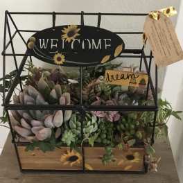 Succulent arrangement in a black wire basket with a welcome sign