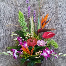 Tropical flower arrangement in a decorative square vase