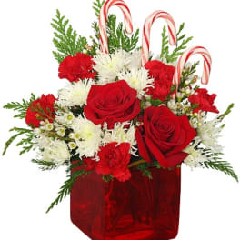 Red and white arrangement with roses, carnations, mums and candy canes in a red glass cube vase