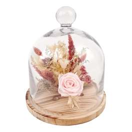 Pink rose under a glass dome on a wooden base