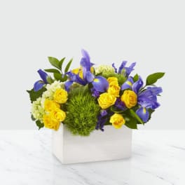 Yellow roses and purple irises in a white box container