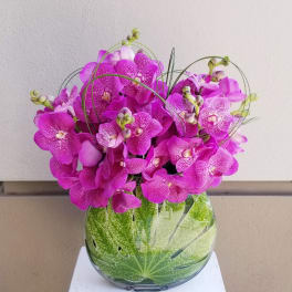 Pink orchids arranged in a clear glass vase with decorative leaves