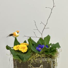 Primrose Paradise Garden by Westford Florist Art by Veny