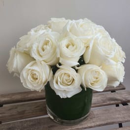 Two dozens of white roses - 순수의 흰장미