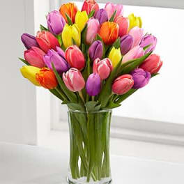 Colorful tulips arranged in a clear glass vase