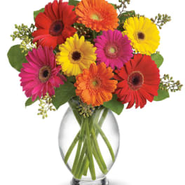 Gerbera Brights Bouquet