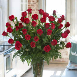 Valentine's Day- 3 Dozen Red Ecuadorian Premium Roses