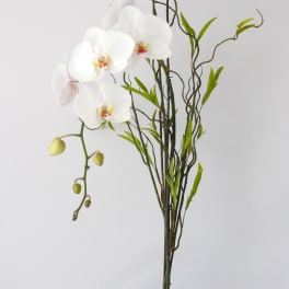 White orchid arrangement in a white vase with curly branches