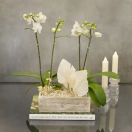 White orchids in a wooden planter with candles beside them