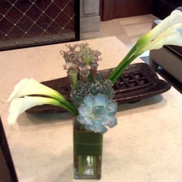 White calla lilies and a blue succulent in a glass vase