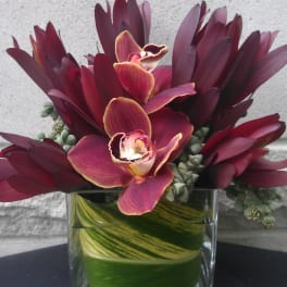 Deep burgundy orchid arrangement in a clear glass vase