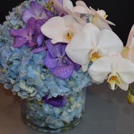 Blue hydrangeas with white and purple orchids in a glass vase