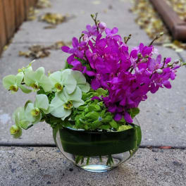 Purple and pale green orchids arranged in a round glass vase